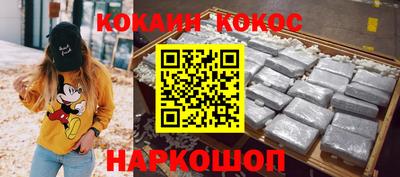 индика Новодвинск