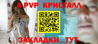 индика Новодвинск