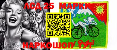 индика Новодвинск