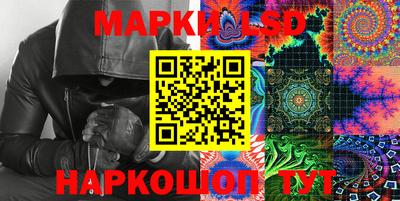 индика Новодвинск