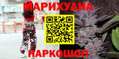 индика Новодвинск