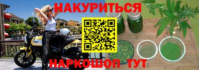 индика Новодвинск