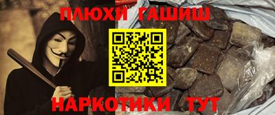 индика Новодвинск