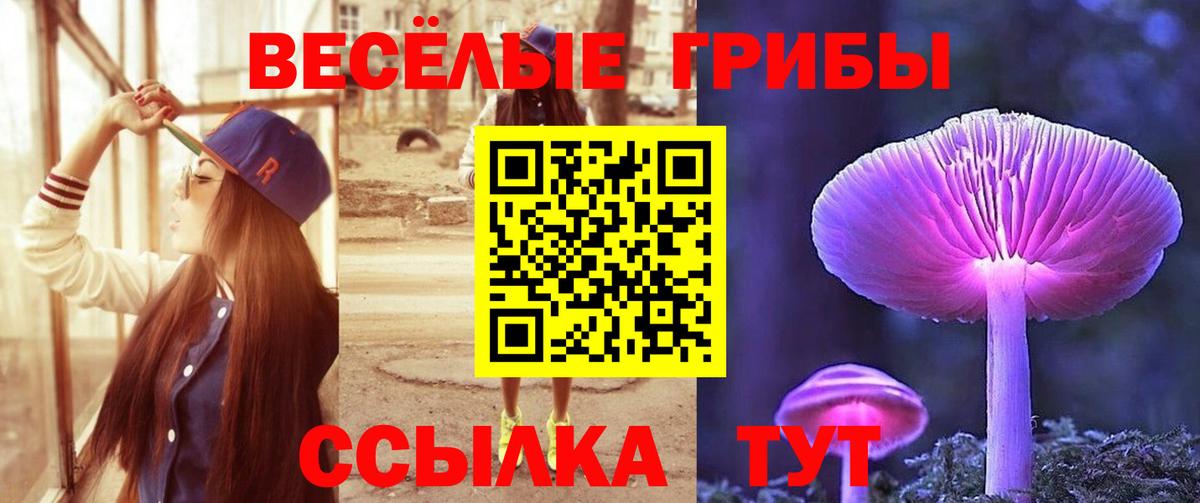 Псилоцибиновые грибы MAGIC MUSHROOMS Ржев