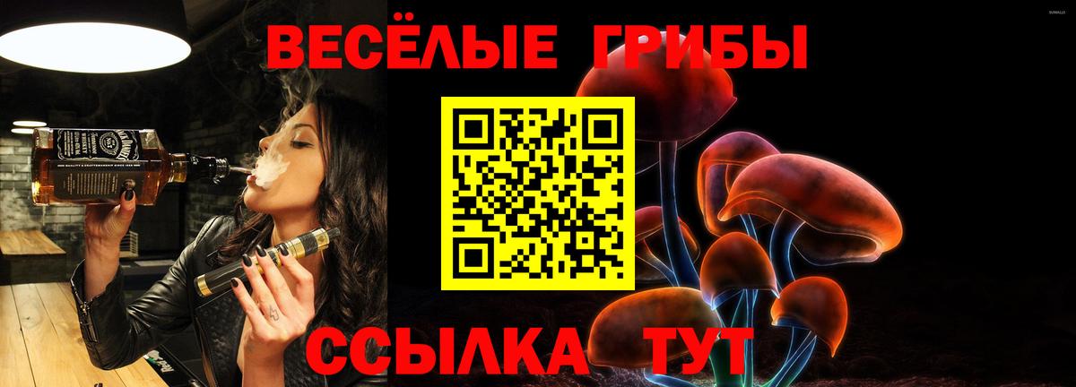 Ржев  Псилоцибиновые грибы мухоморы  Вход с VPN  Галлюциногенные грибы Psilocybe 